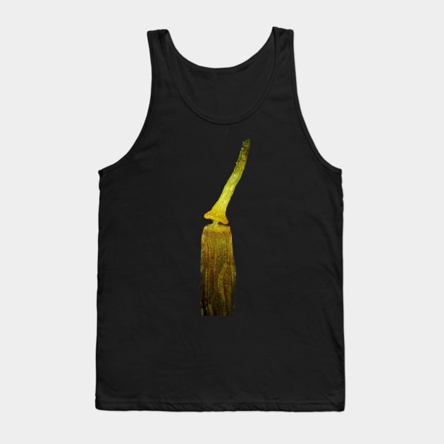 Moss spore capsule under the microscope Tank Top by SDym Photography